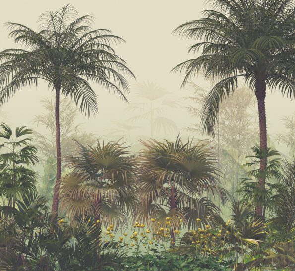 Palmiye Ormanı Pano Duvar Kağıdı