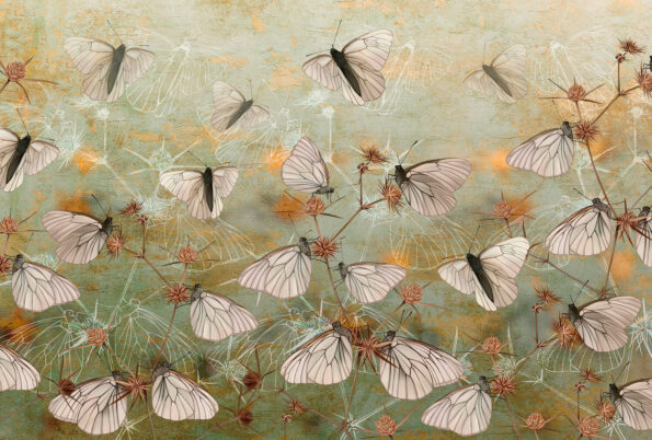 Uçan Kelebekler Pano Duvar Kağıdı