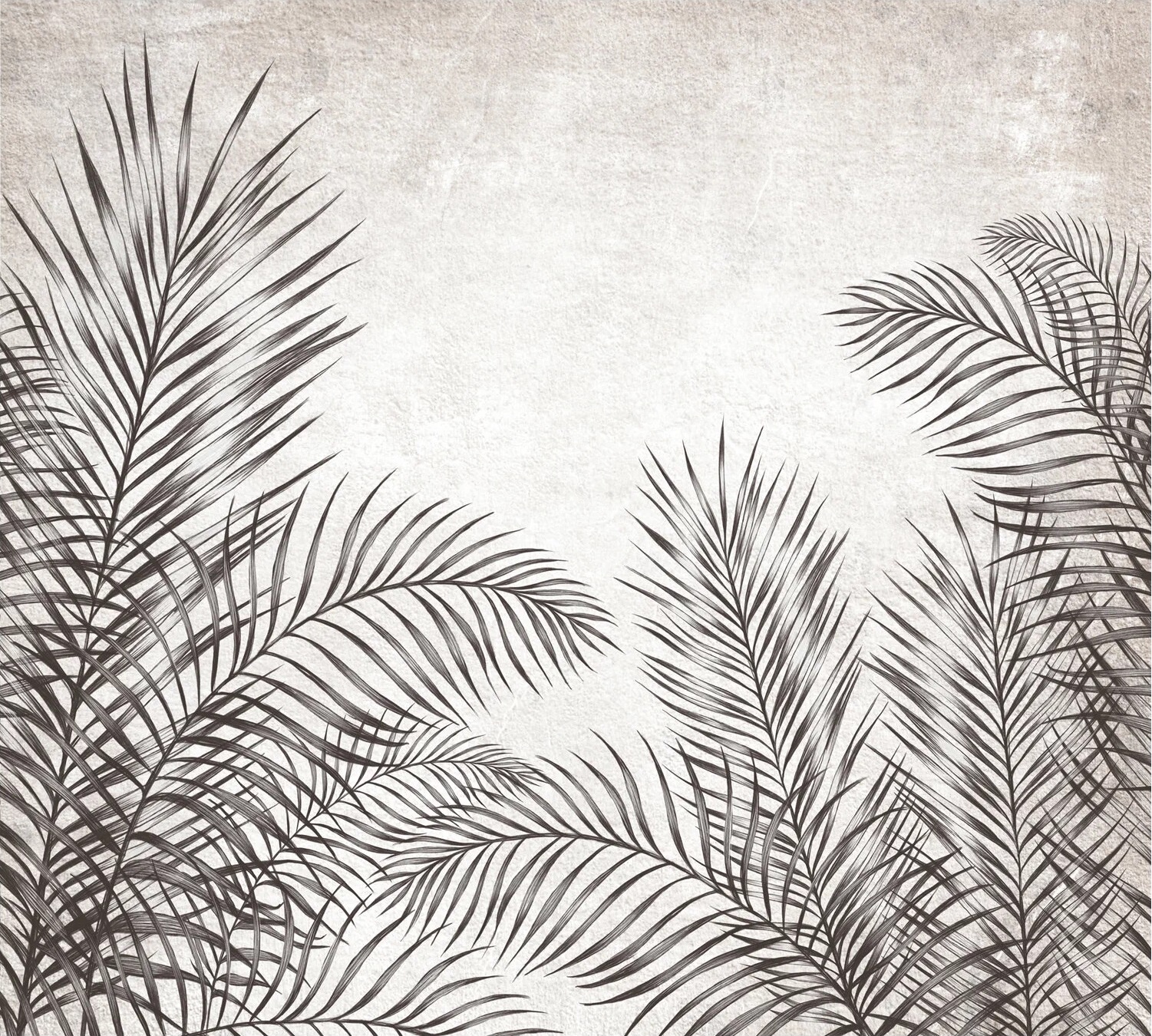 Palmiye Yaprakları Pano Duvar Kağıdı