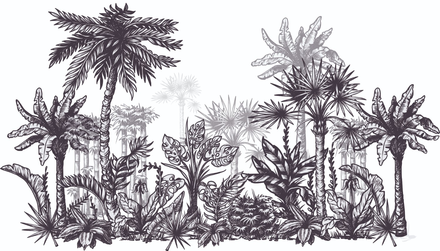 Siyah Beyaz Tropikal Orman Pano Duvar Kağıdı