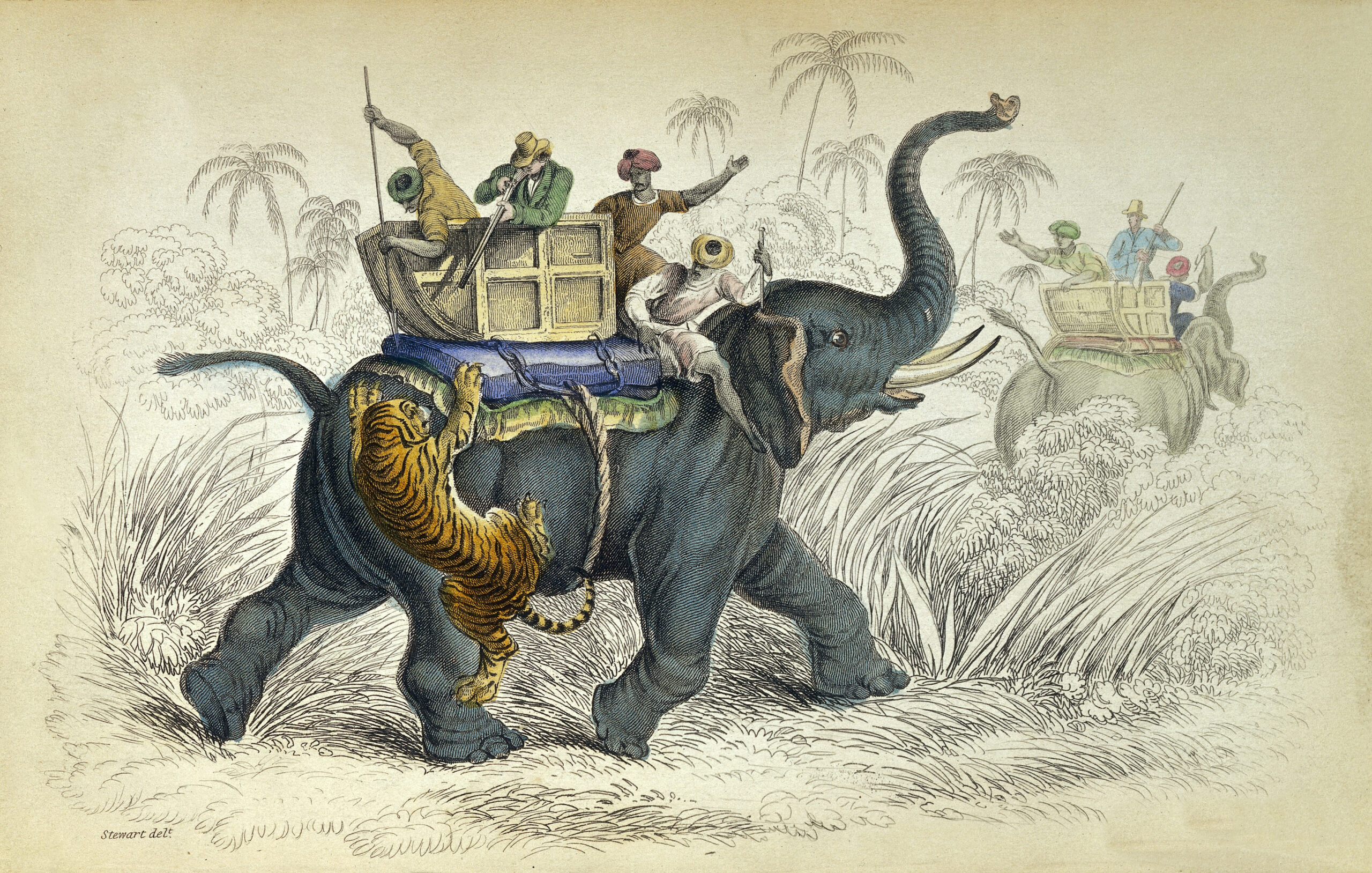 L0030793 W. Jardine, Natural History of Pachydermes…